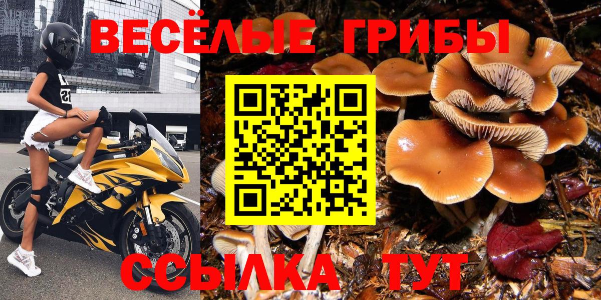 Галлюциногенные грибы GOLDEN TEACHER  Вход с VPN  Нефтекамск 