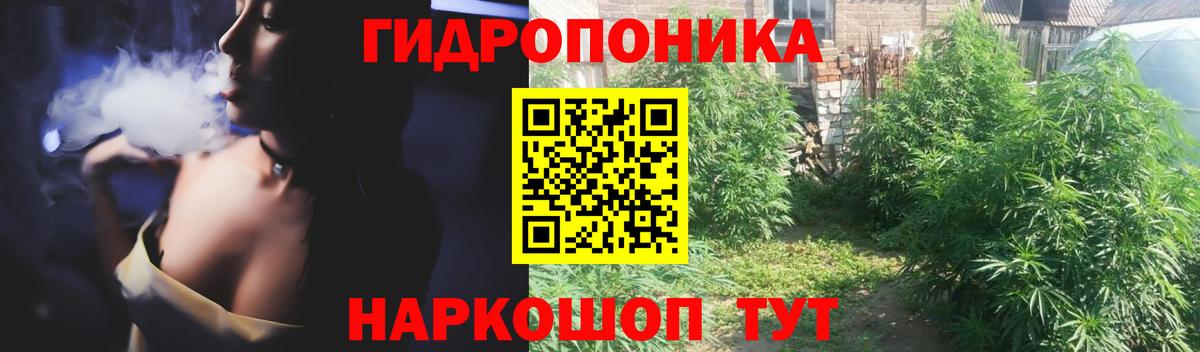Бошки марихуана индика  Вход с VPN  МАРИХУАНА AK-47  Канабис ГИДРОПОН  Нефтекамск  Каннабис White Widow 